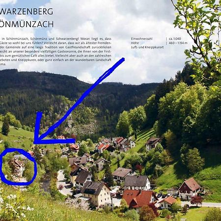 Schonmunzach Adieu Alltag: Pension Oesterle Im Schwarzwald מראה חיצוני תמונה