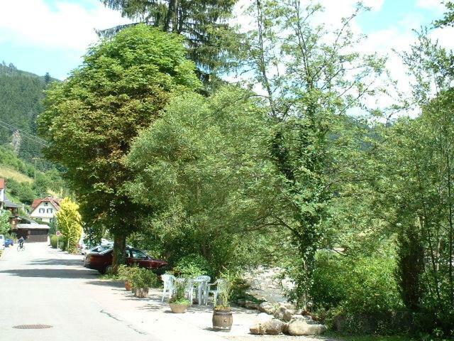 Schonmunzach Adieu Alltag: Pension Oesterle Im Schwarzwald מראה חיצוני תמונה