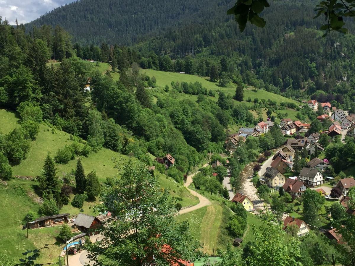 Schonmunzach Adieu Alltag: Pension Oesterle Im Schwarzwald מראה חיצוני תמונה